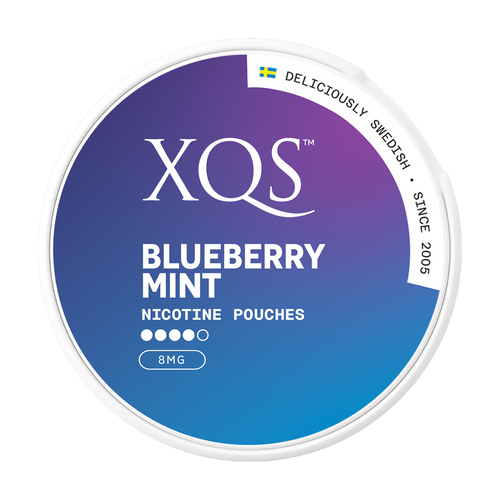 Blueberry Mint XQS Nicotine Pouches 8mg